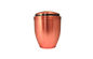 Urnas de acero para la cremación, envase de encargo de la galjanoplastia de la ceniza del color